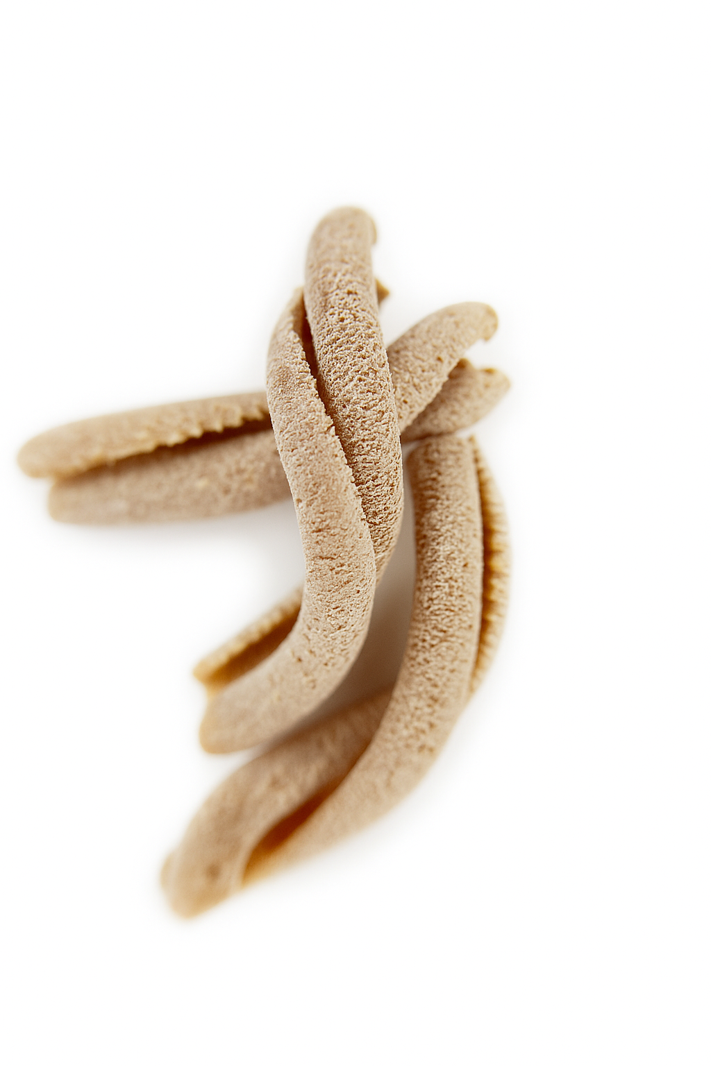 Organic Spelt Casarecce