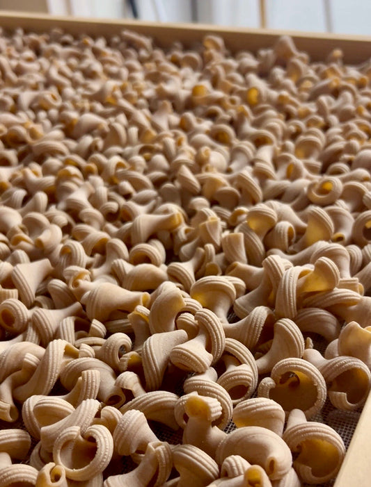 What is Einkorn? The oldest wheat still used today