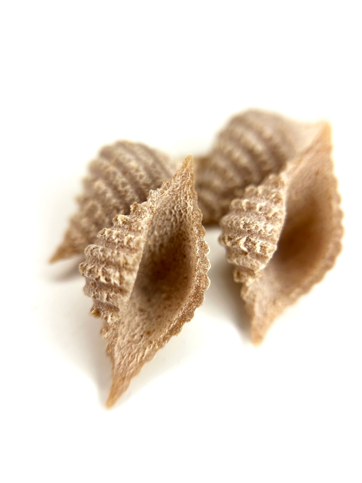 Organic Spelt Conchiglie