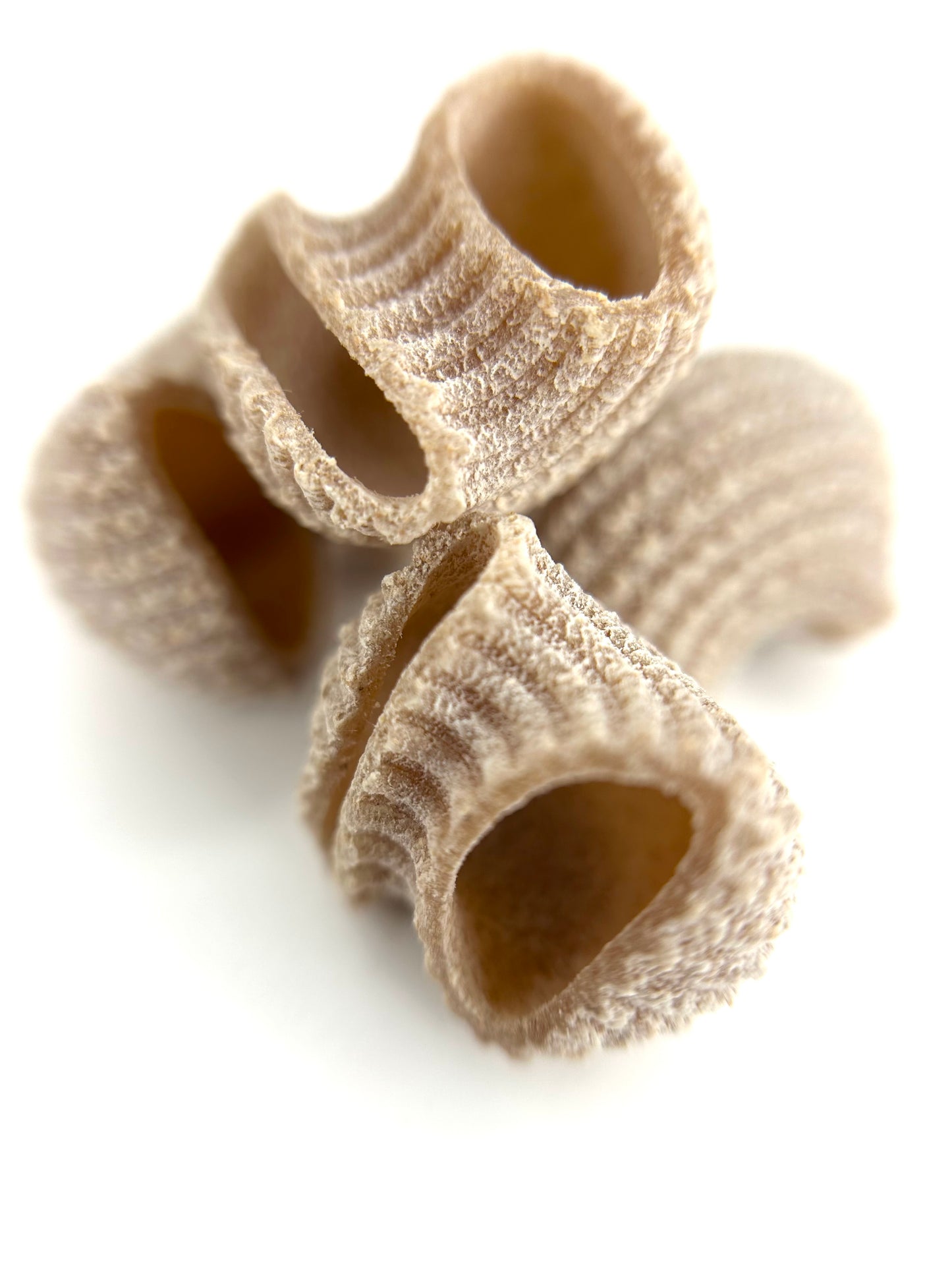 Organic Spelt Pipe Rigate