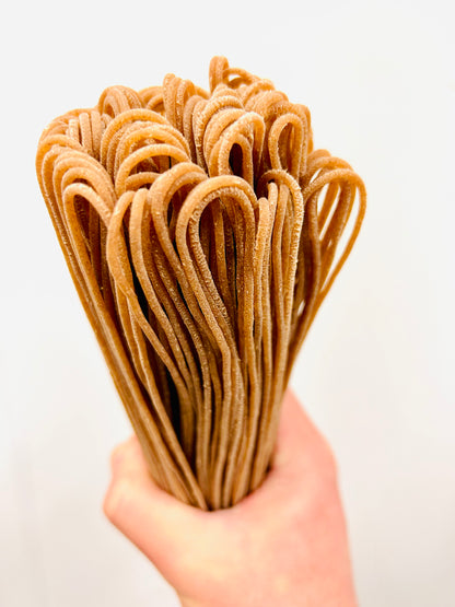 Hand holding a bundle of wholegrain krivet spaghettoni pasta from carleschi