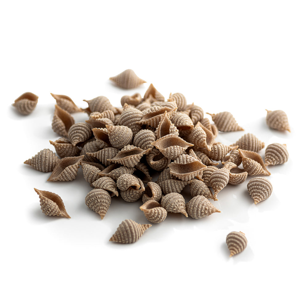 Organic Spelt Conchiglie