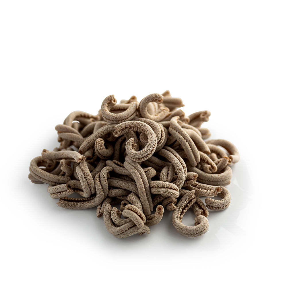 Organic Spelt Casarecce